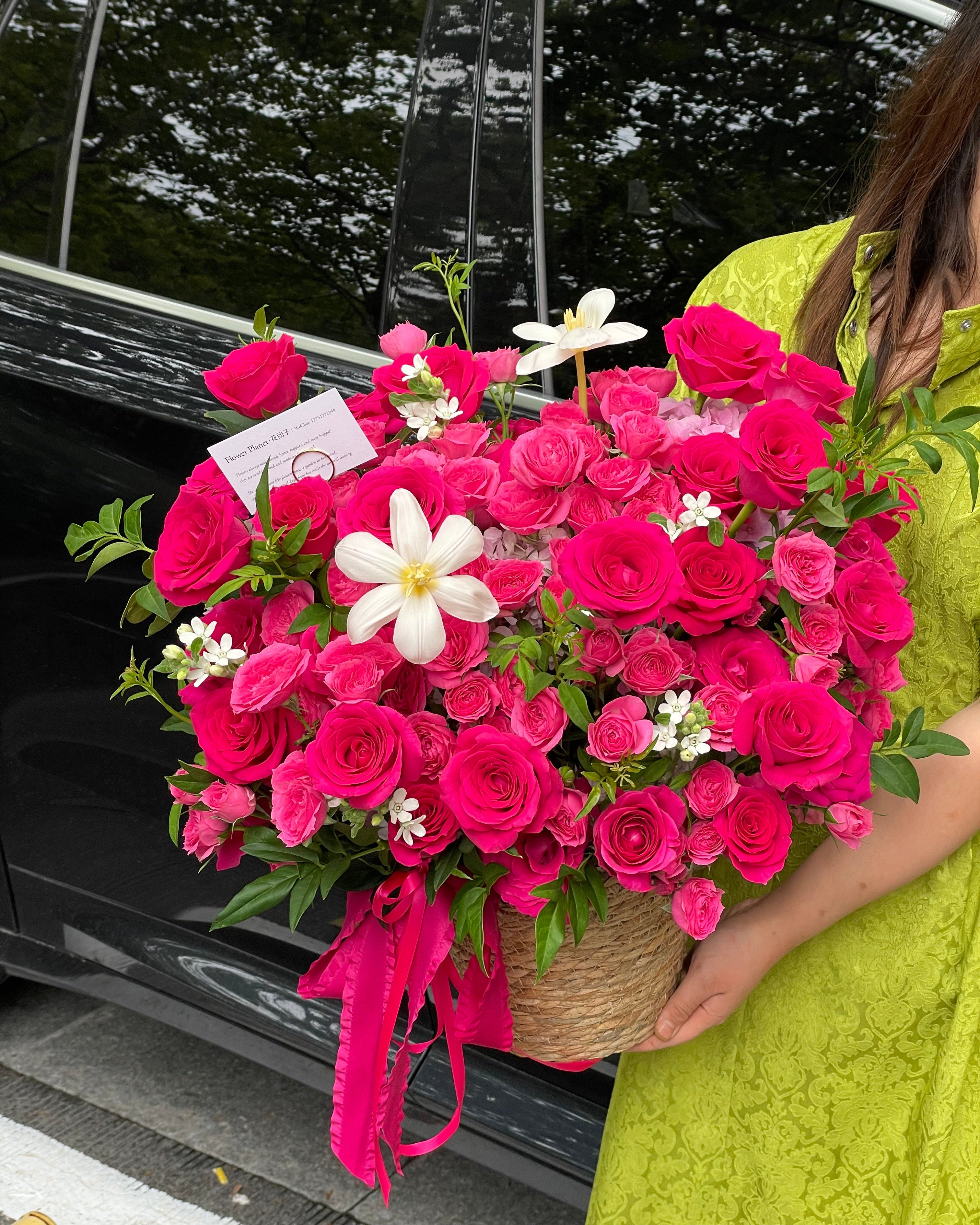 Enchanted Rose Dream