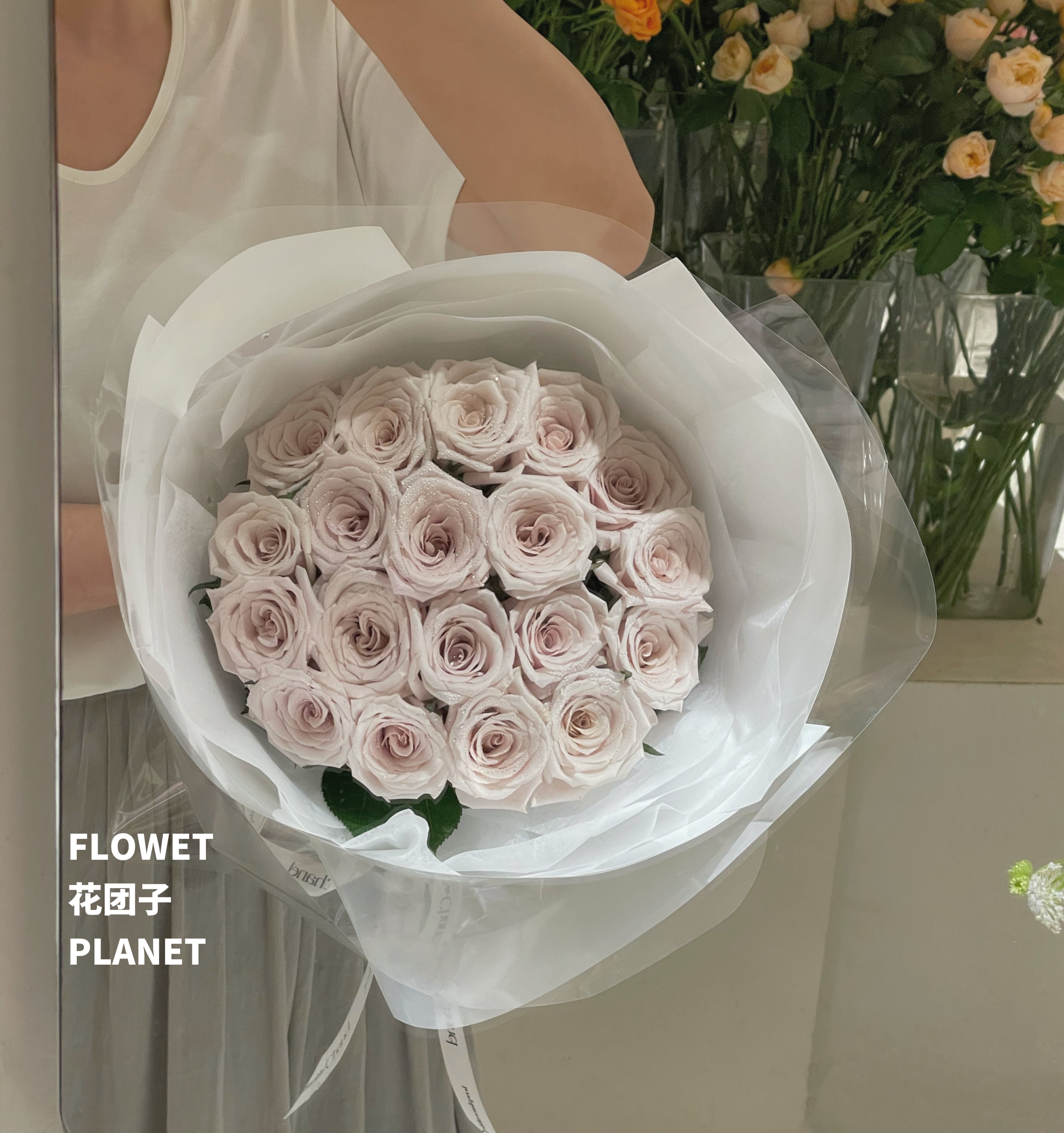 Luna Manta (19 Stlaks)