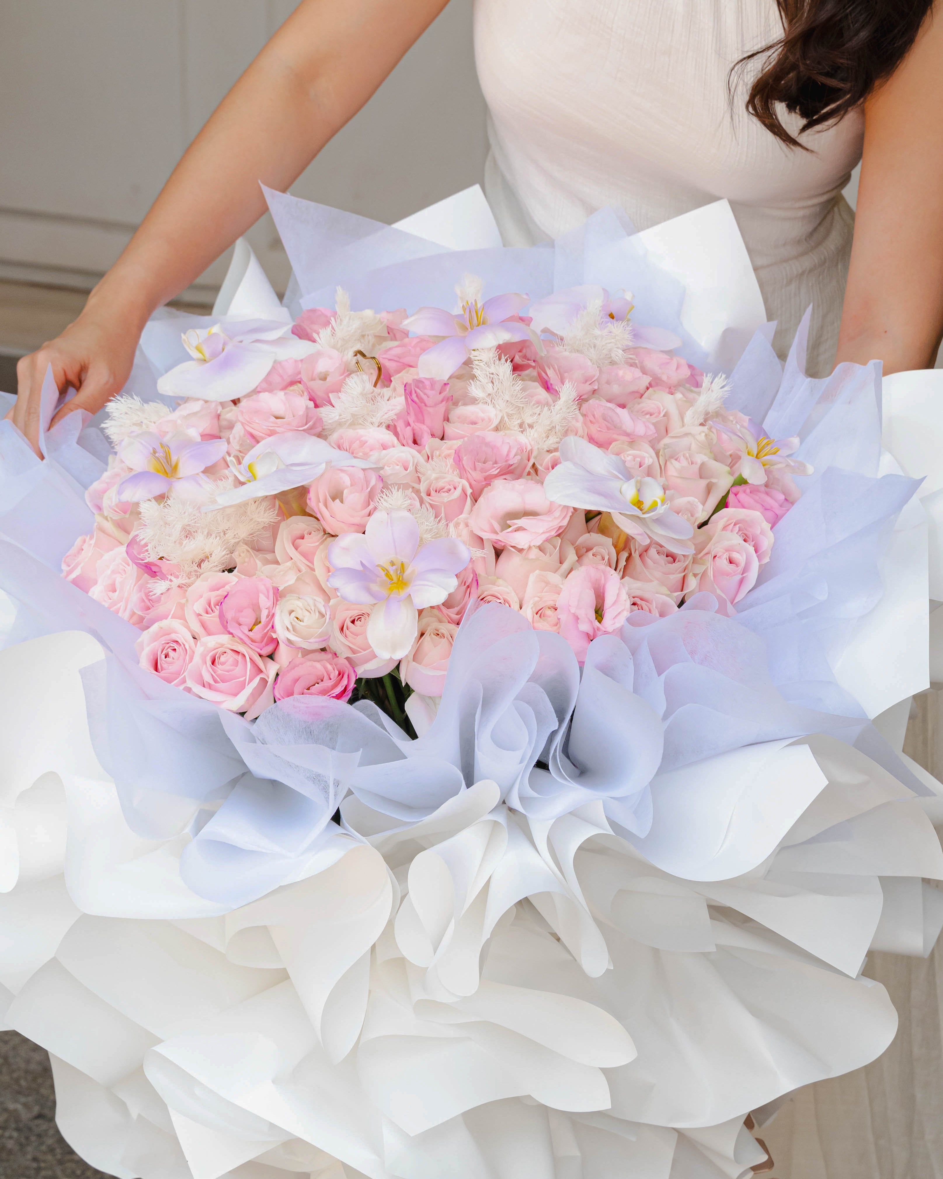 The Fairy’s backyard