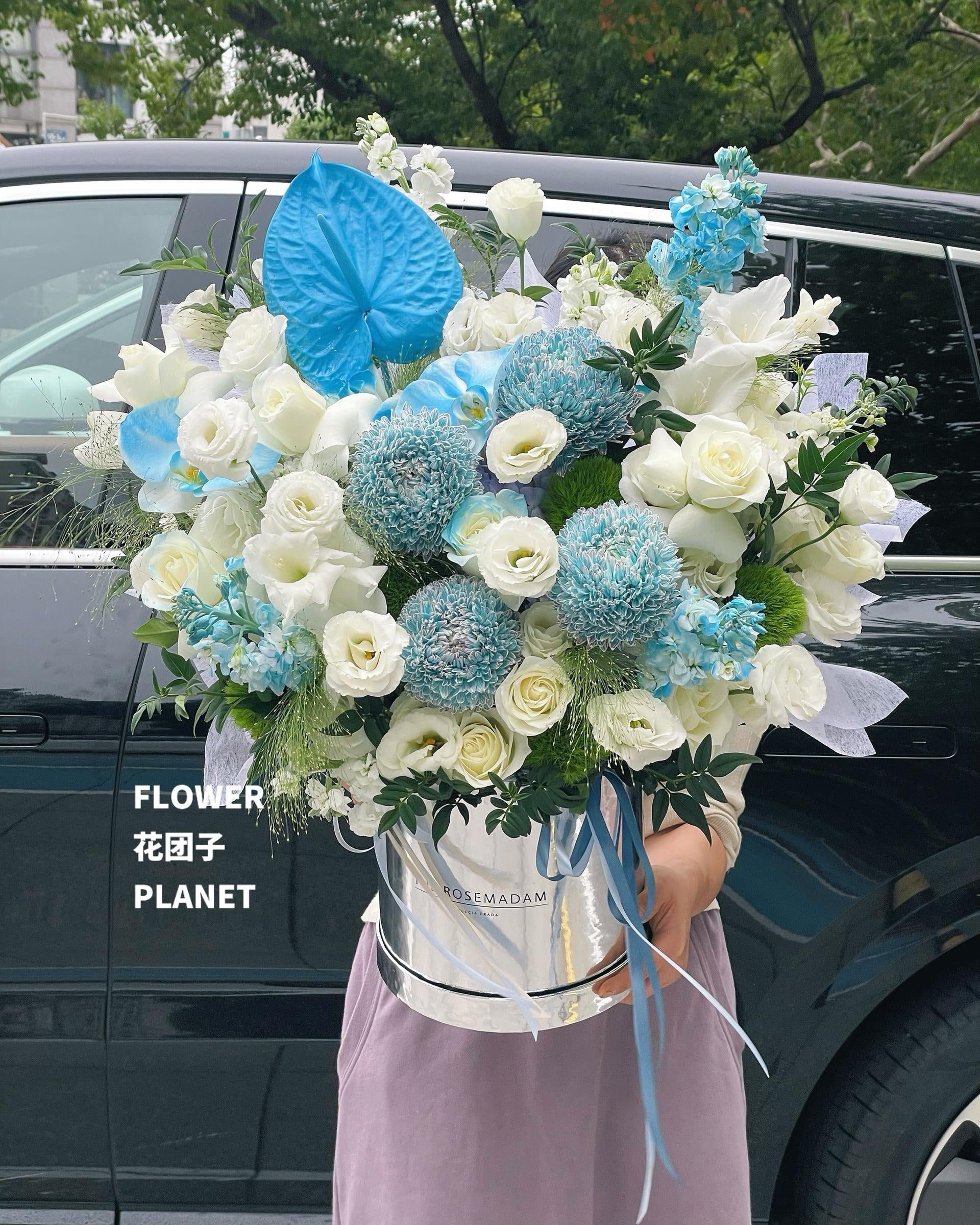 Where Blue Meets Whites